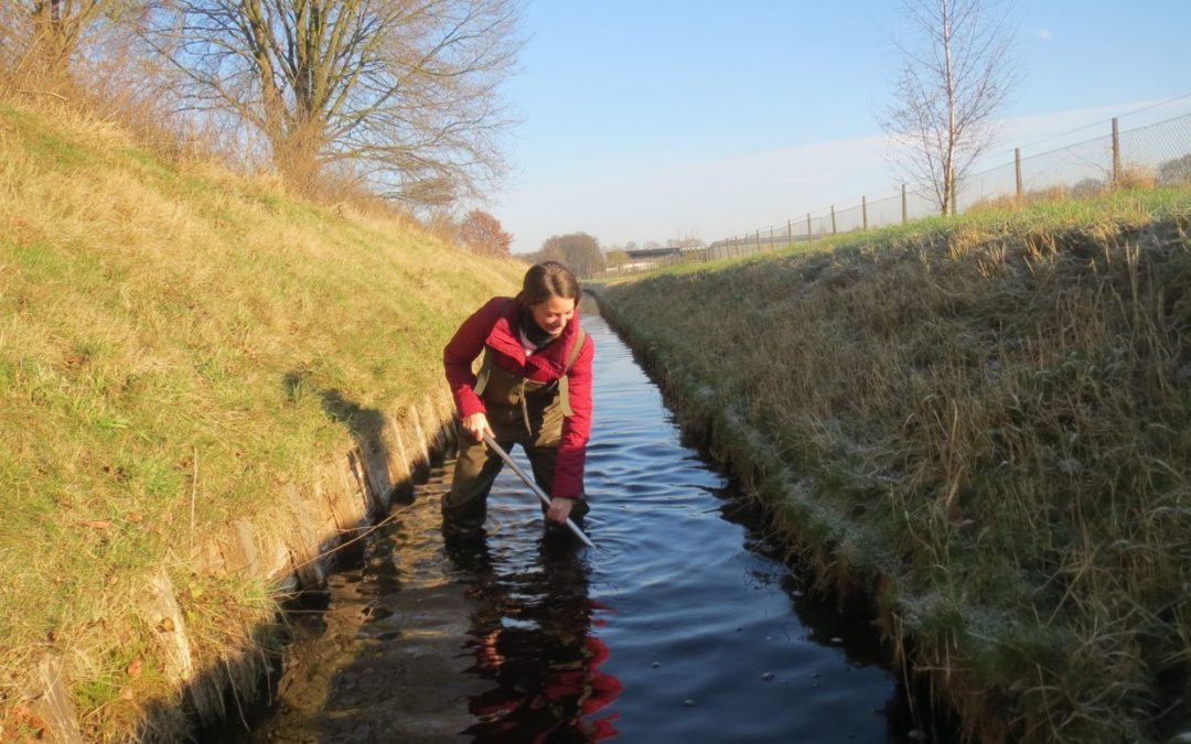 update: Onderzoek