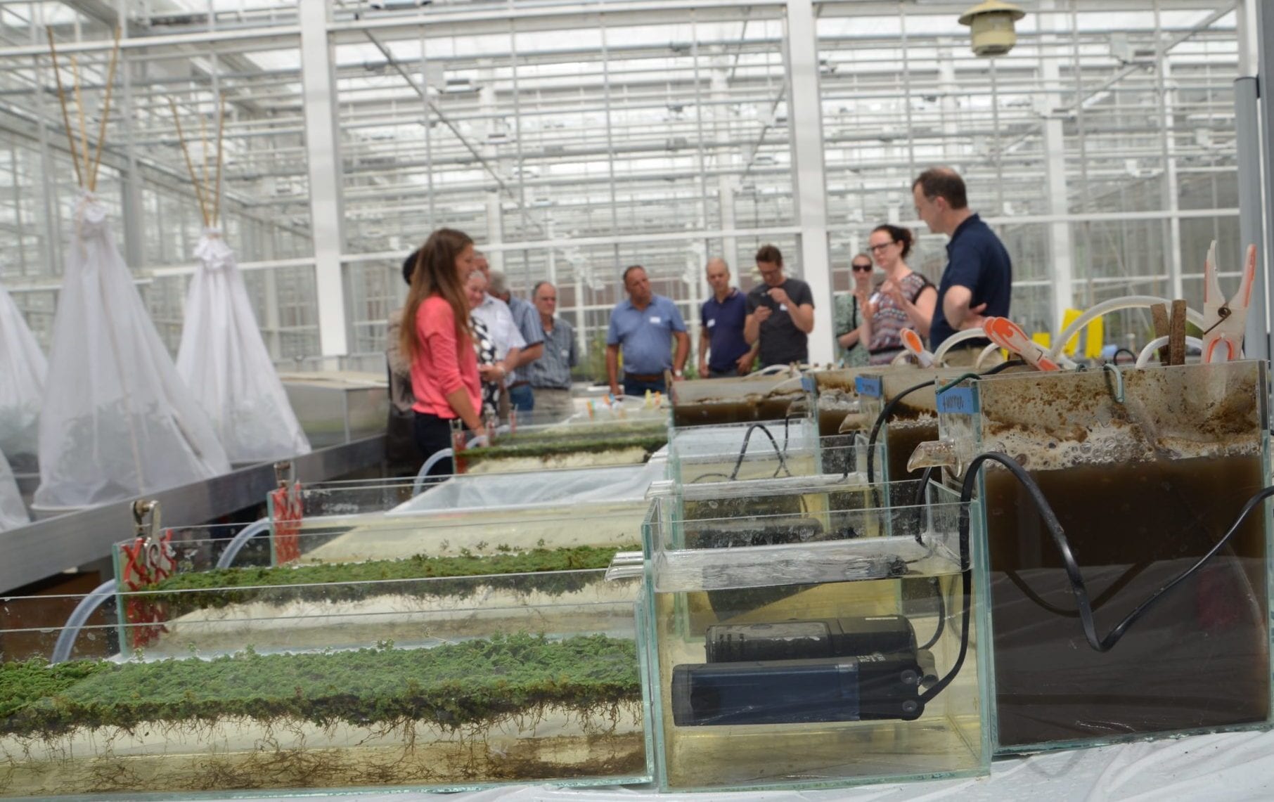 rondleiding bij stromende Aquafarm tijdens open huis